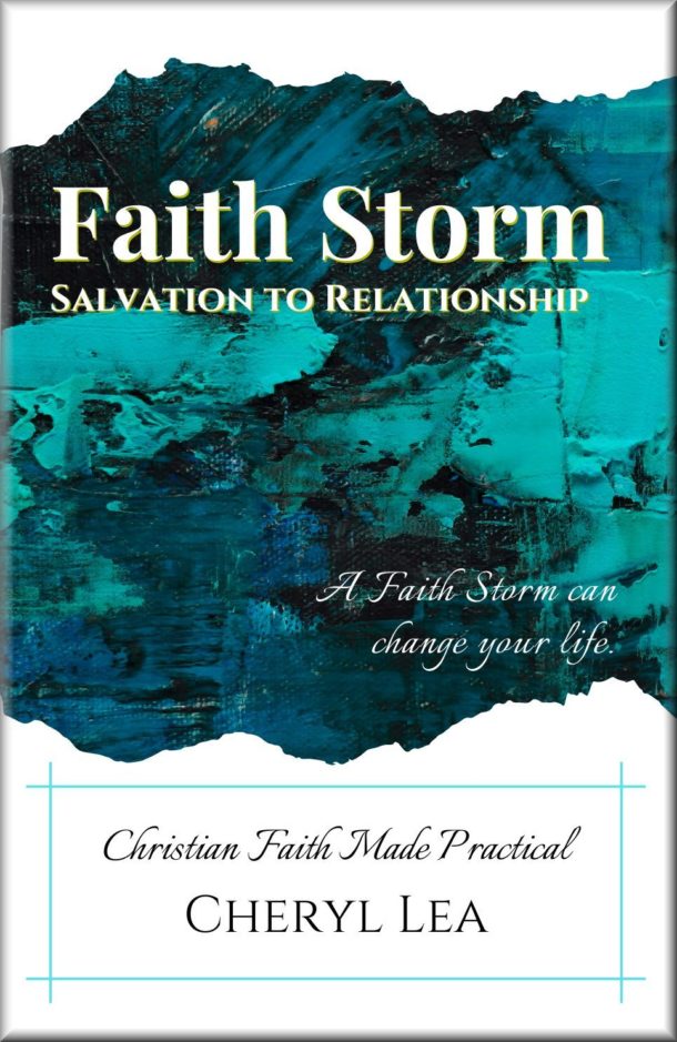 Faith Storm Front Cover